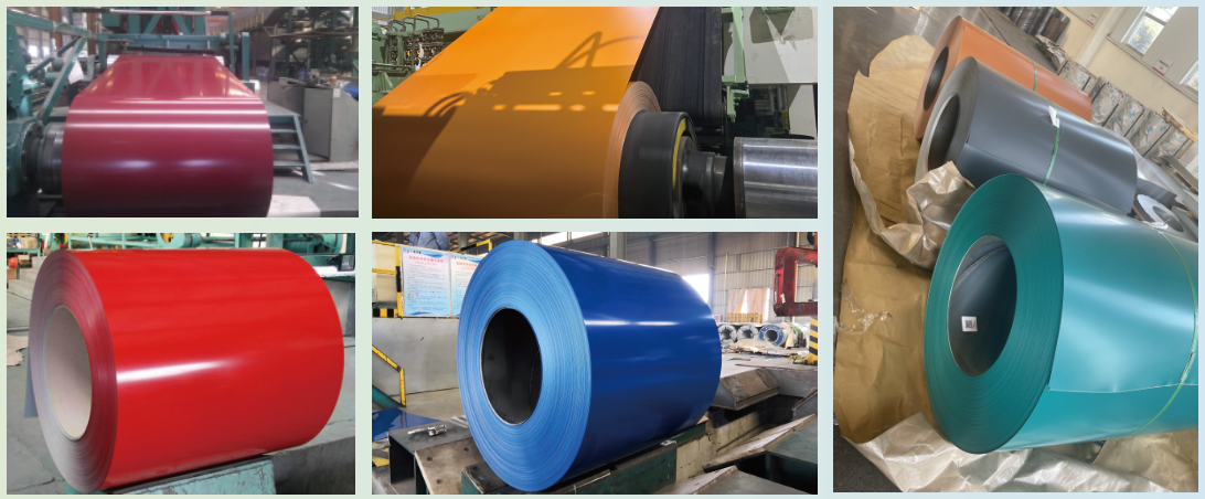 Pre-painted Steel Coil Pre-painted Steel Coil